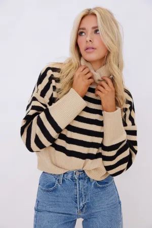 Jean Stripe Turtleneck Sweater