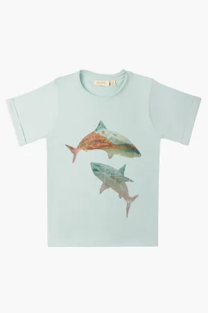 Kids Soft Gallery Sharks T-Shirt