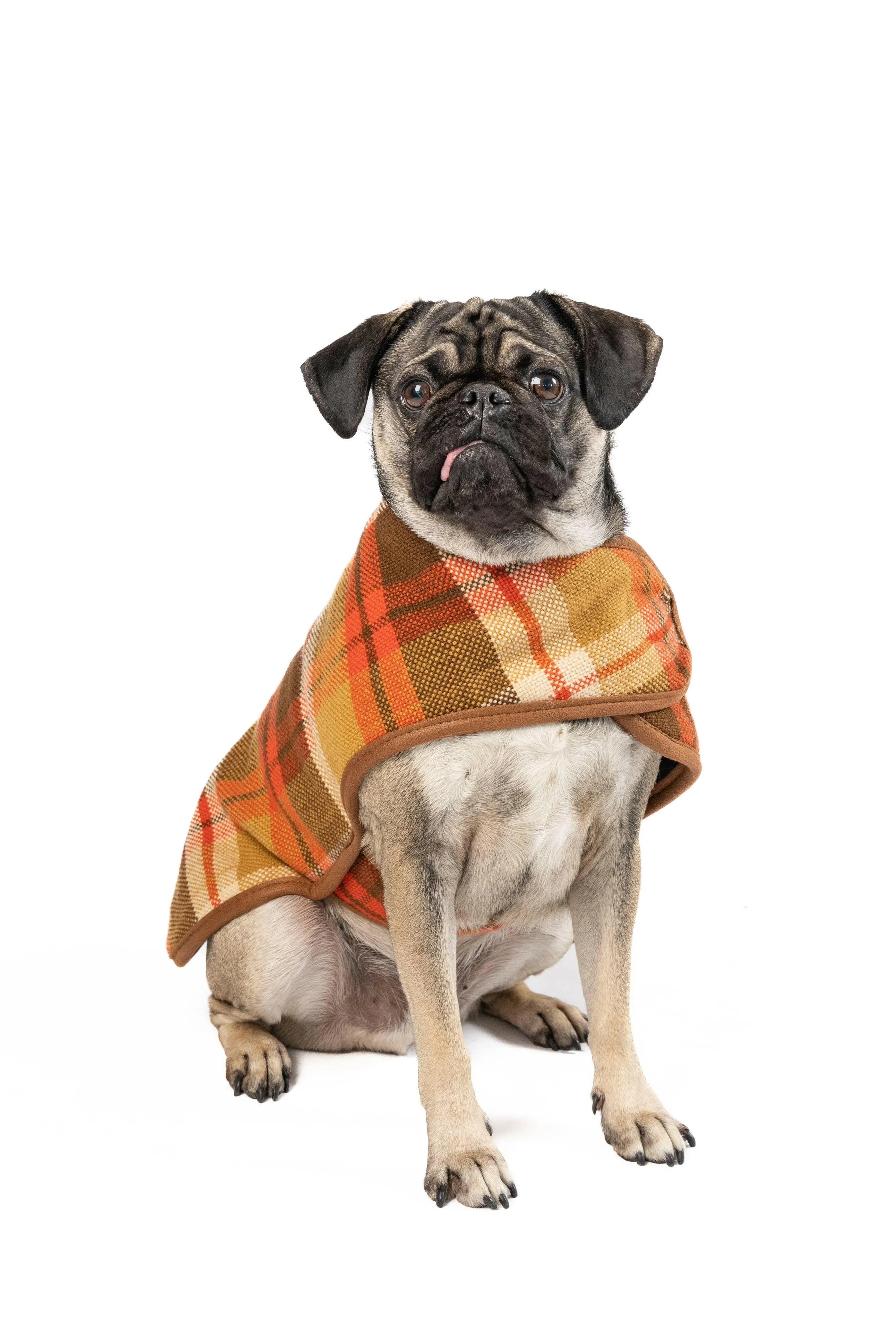 Rust Plaid Dog Blanket Coat